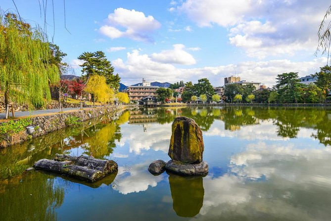 nara-day-trip-from-osaka-with-a-local-private-personalized