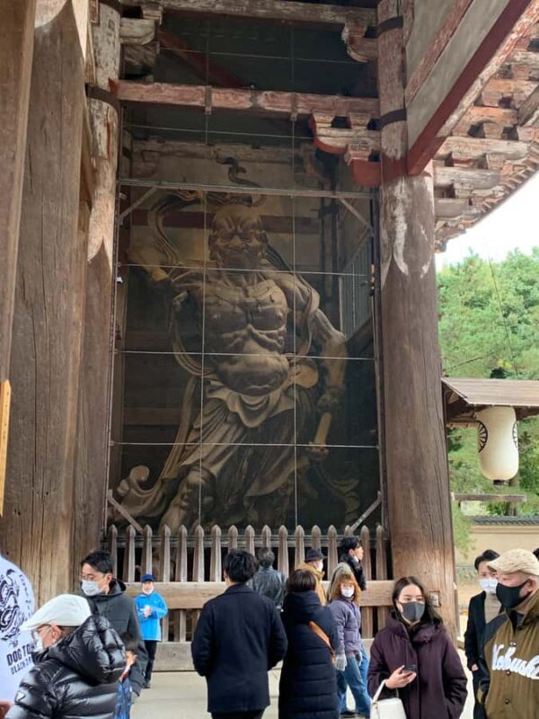 Nara: Deer, Great Buddha & Traditional Mochi Experience - Key Points