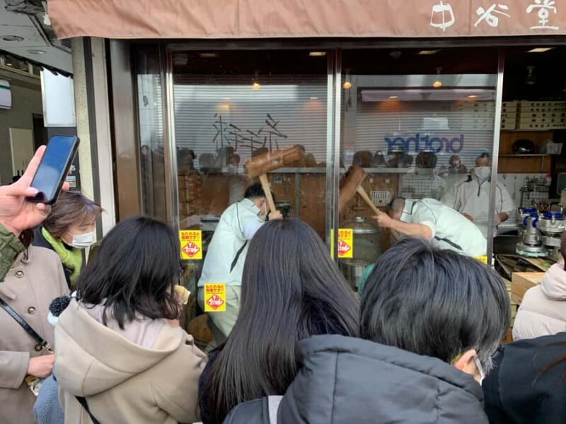 Nara: Deer, Great Buddha & Traditional Mochi Experience - Introduction: An Authentic Taste of Nara