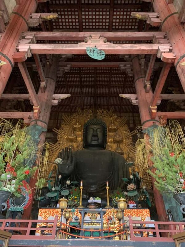 Nara: Deer, Great Buddha & Traditional Mochi Experience - What You Need to Know