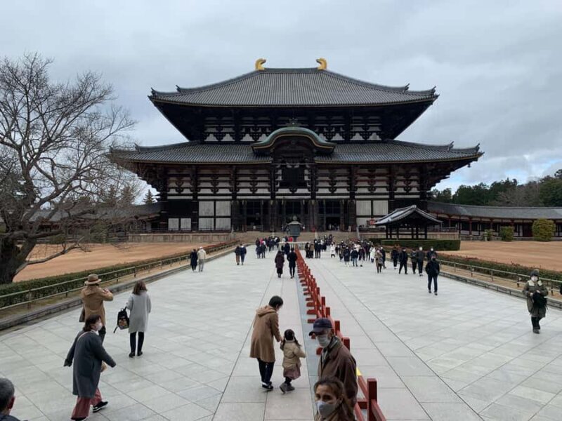 Nara: Deer, Great Buddha & Traditional Mochi Experience - Review Insights: Real Traveler Perspectives