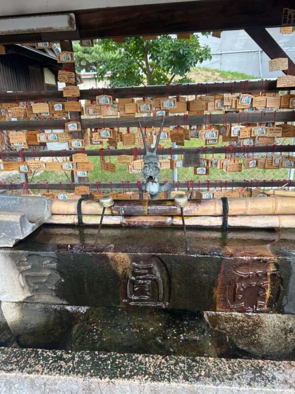 Nara: Deer, Great Buddha & Traditional Mochi Experience - Final Thoughts: Who Will Love This Tour?