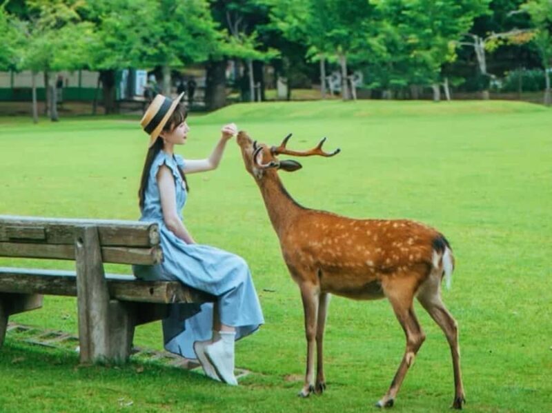 Nara: Deer Park & UNESCO Sites Day Trip with Hotel Pickup - Key Points