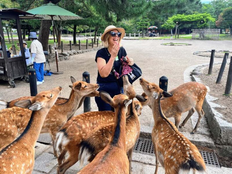 Nara: Deer Park & UNESCO Sites Day Trip with Hotel Pickup - FAQs