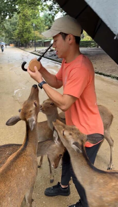 Nara: Deer, Temples, and Hidden Lanes Tour - The Charm of Guided Storytelling and Photo Opportunities