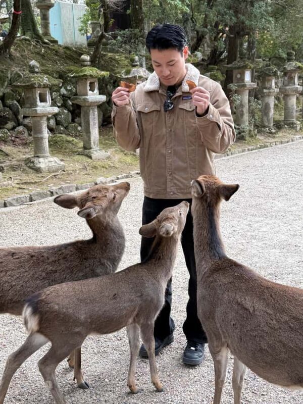 Nara: Deer, Temples, and Hidden Lanes Tour - Practical Details: Value, Duration, and Comfort