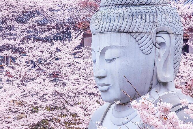 Nara: Discover a Giant Stone Buddha in the Forest Hills - Practical Details & What to Expect