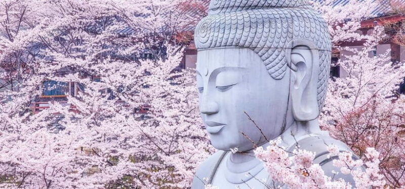 Nara: Discover a Giant Stone Buddha in the Forest Hills - Exploring the Journey to Tsubosaka-dera