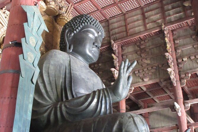nara-english-guide-giant-buddha-deer-free-in-the-park