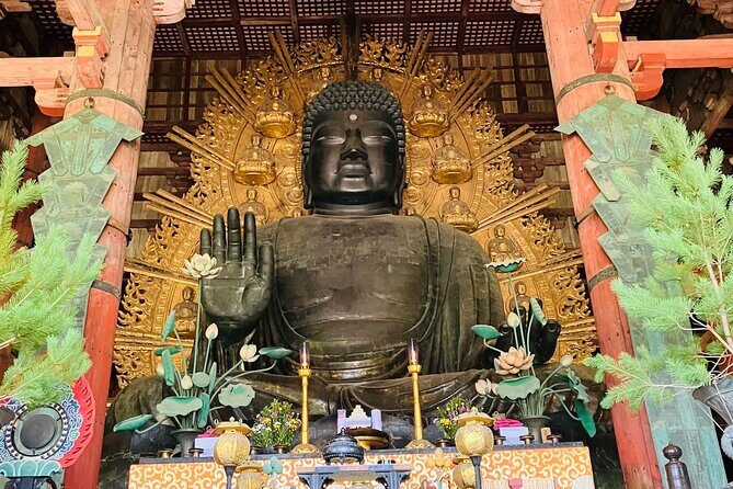 Nara: Essential Private Tour with Deer Park and Temples - Introduction: A Peaceful Day in Nara