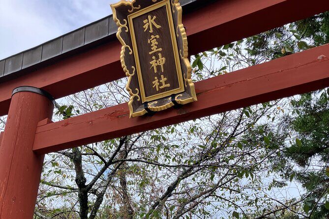 Nara: Essential Private Tour with Deer Park and Temples - Authentic Insights from Reviews