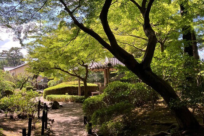 Nara: Essential Private Tour with Deer Park and Temples - The Sum Up: Is This Tour Worth It?