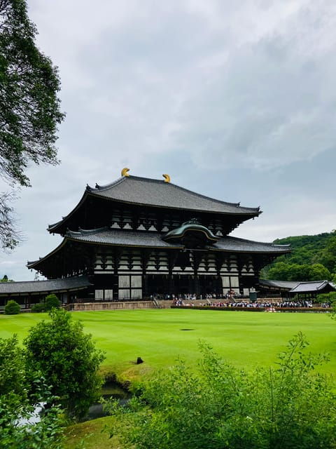 nara-essential-private-tour-with-deer-park-and-temples