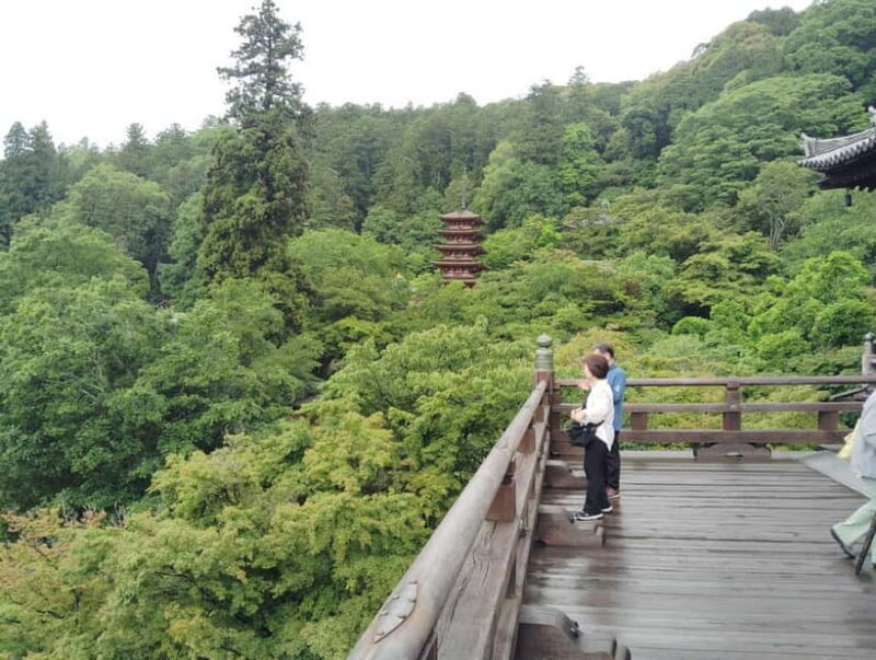Nara: Explore Hasederas Giant Kannon and Cliffside Temple - A Closer Look at the Tour Experience