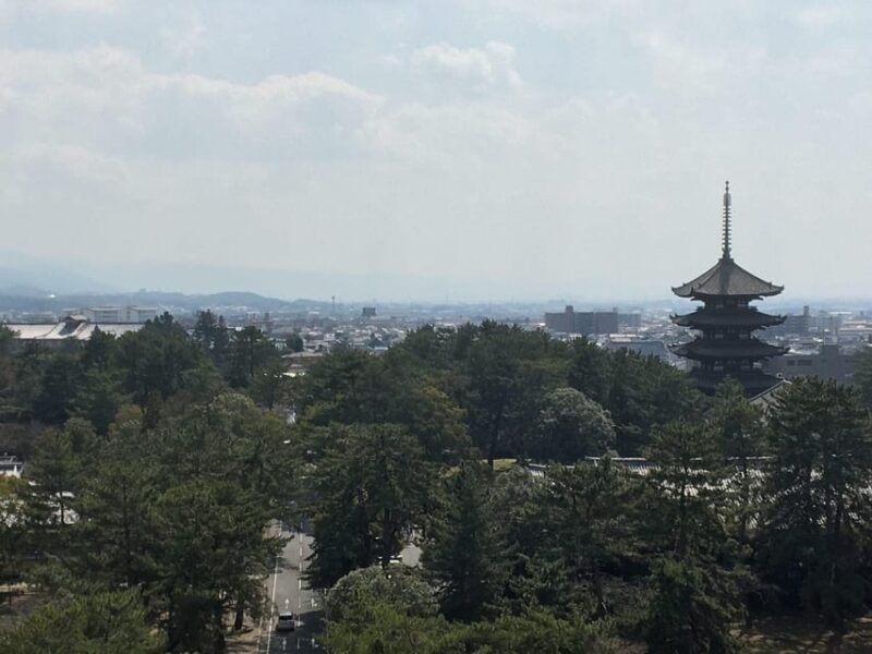 Nara: Full-Day Private Guided Tour - An In-Depth Look at the Tour Experience