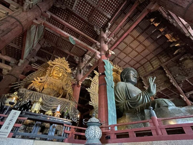 Nara: Half Day Local Guide Big Buddha, Deer, Shrine, Forest - The Logistics: What to Expect