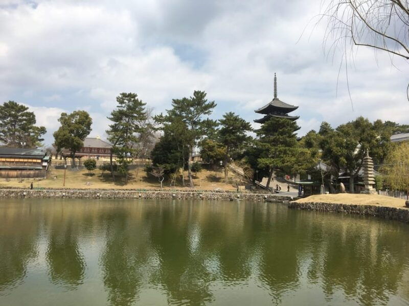 nara-half-day-private-guided-tour