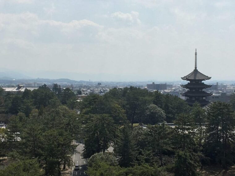 nara-half-day-private-guided-tour