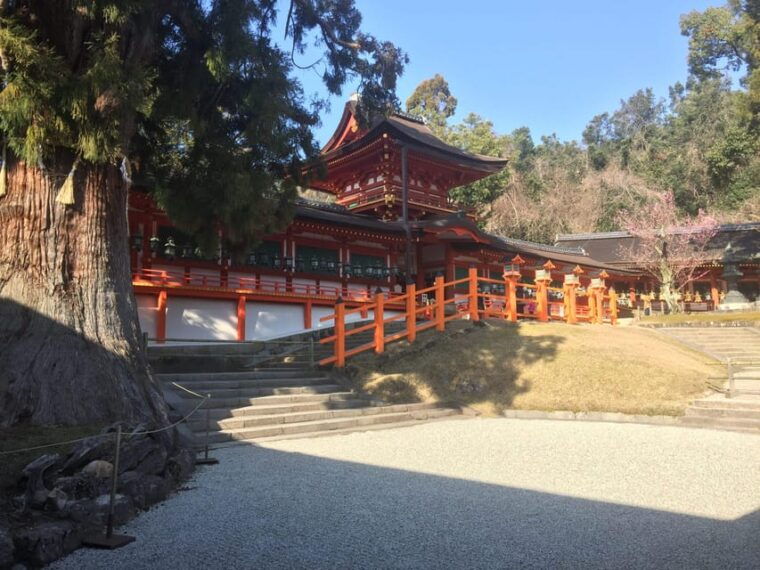 nara-half-day-private-guided-tour