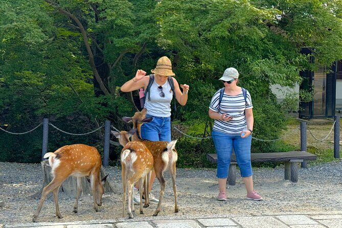 Nara: Half-Day Private Tour of 4 Must-See Spots & Deer Park - Discovering Nara’s Historic Heart