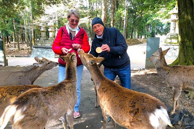 Nara: Half-Day Private Tour of 4 Must-See Spots & Deer Park - Cultural and Culinary Experiences in Naramachi