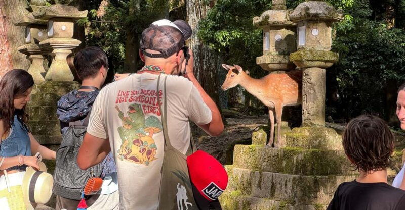nara-half-day-private-tour-of-4-must-see-spots-deer-park