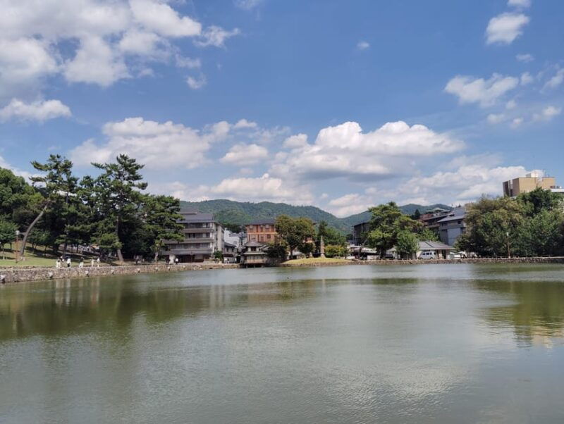 nara-half-day-private-tour-of-4-must-see-spots-deer-park