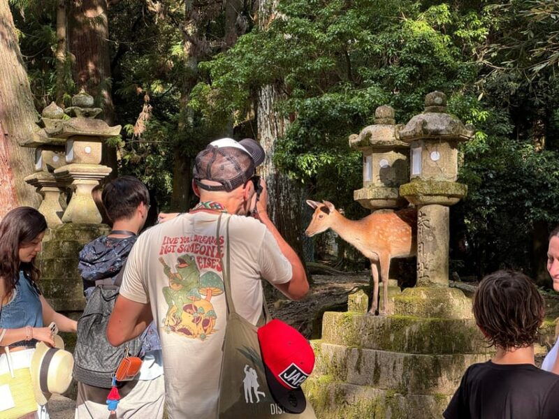 nara-half-day-private-tour-of-4-must-see-spots-deer-park