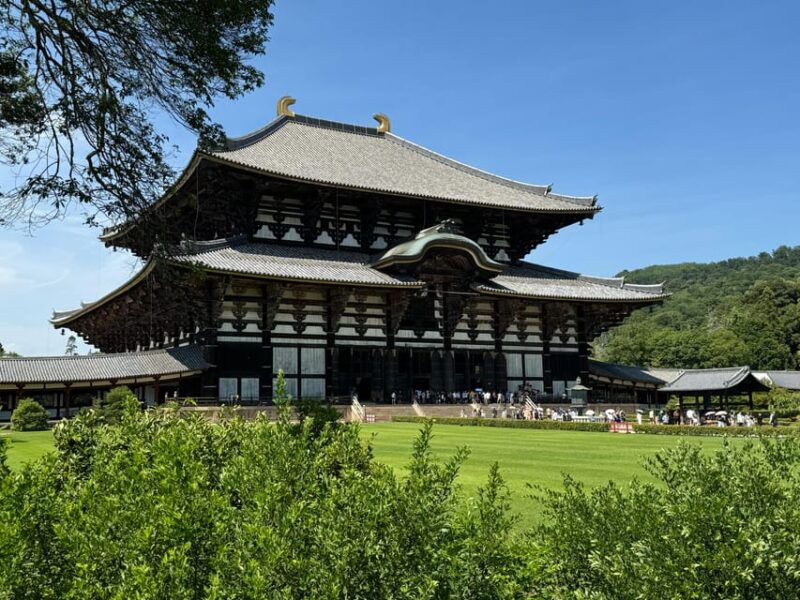 nara-half-day-private-tour-of-4-must-see-spots-deer-park