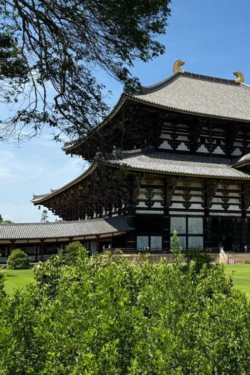 nara-half-day-private-tour-of-4-must-see-spots-deer-park