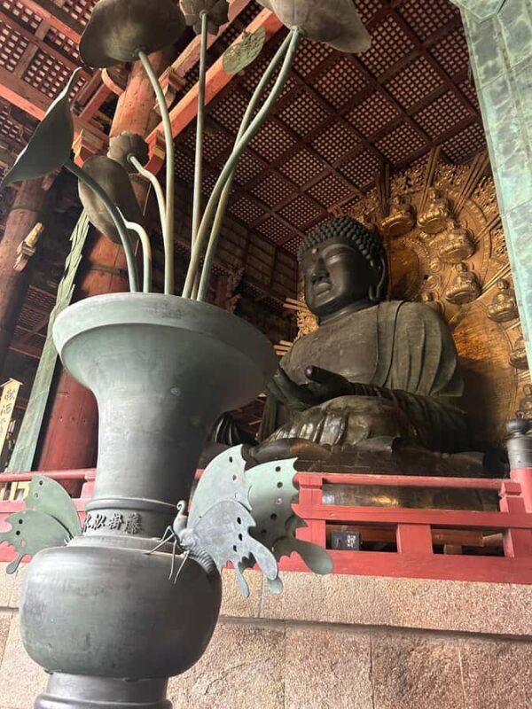 Nara: Half-Day Walking Tour | Spanish Private - What to Expect from This Nara Tour