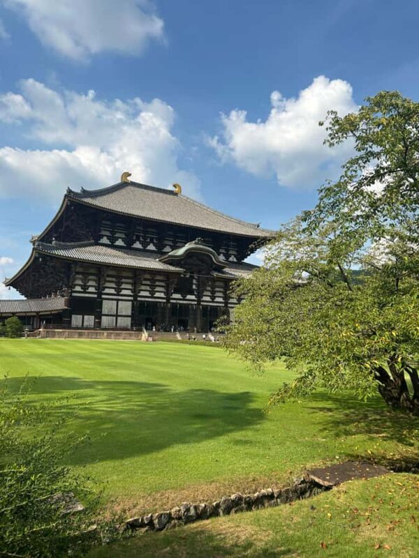 Nara: Half-Day Walking Tour | Spanish Private - FAQ