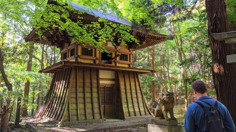 Nara: Heart of Nature Temple, Forest, & Waterfall Bike Tour - Final Thoughts: Is This Tour Right for You?