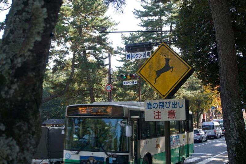 nara-heritage-walkabout-from-nara-park-to-todaji-ji-temple