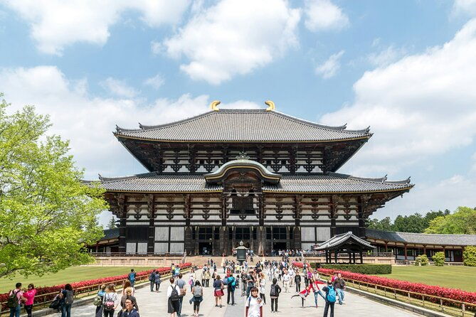 nara-heritage-walkabout-from-nara-park-to-todaji-temple