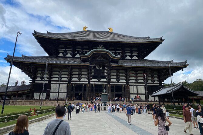Nara Highlights Guided Tour by Private Car from Osaka - Why We Love This Tour