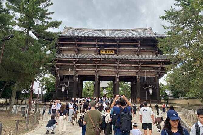 Nara Highlights Guided Tour by Private Car from Osaka - The Sum Up: Who Should Consider This Tour?