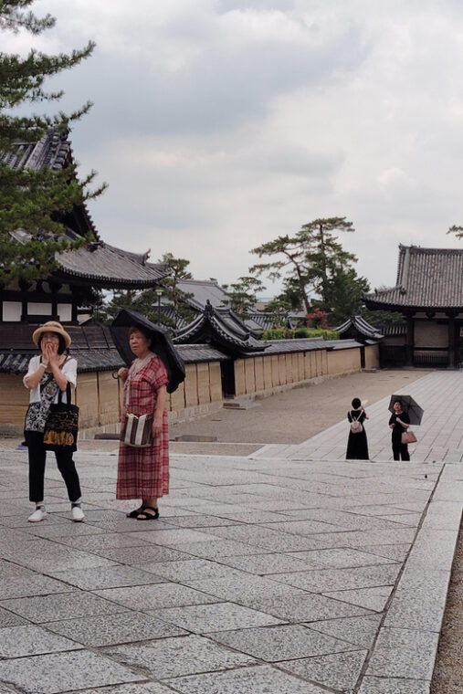 nara-horyu-ji-2-hours-at-the-worlds-oldest-wooden-building