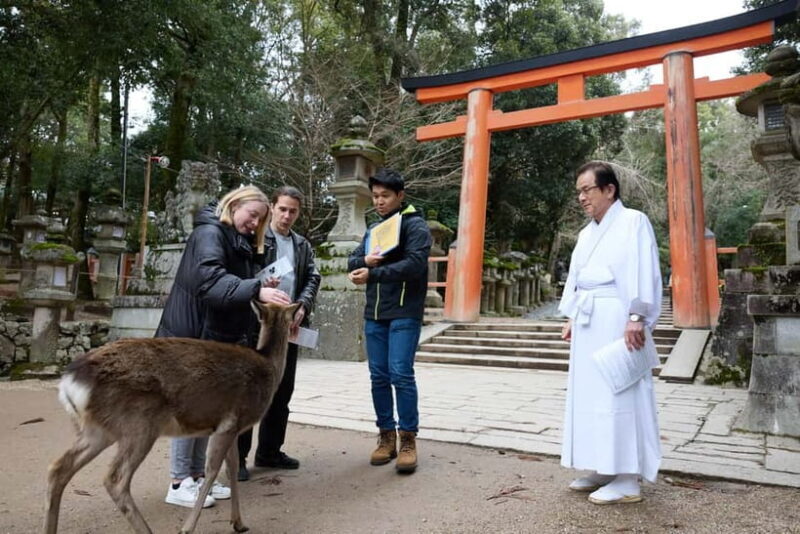 Nara: Kasuga Taisha, Sacred Deer Shrine Guided Tour - Final Thought