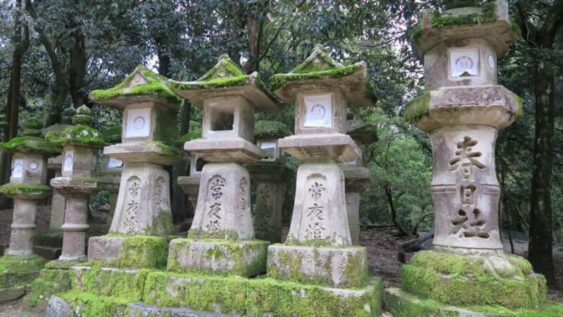 Nara: Kasuga Taisha Shrine Candlelight Tour with Drink - Who Should Book This Tour?