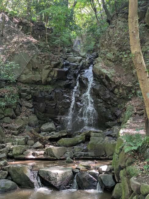 Nara: Mt. Ikoma Guided Hiking Tour with Cable Car and Views - The Complete Experience: What to Expect