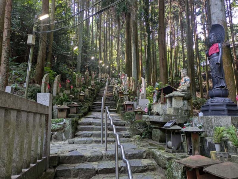 Nara: Mt. Ikoma Guided Hiking Tour with Cable Car and Views - Final Thoughts: Who Will Love This Tour?