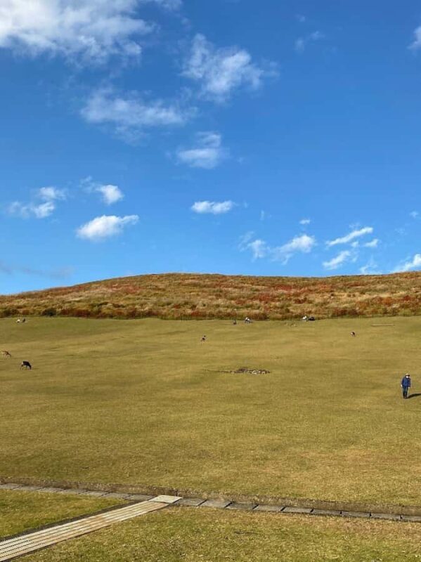 Nara: Mt. Wakakusa Family Picnic Trail with Guide - An Authentic Slice of Nara’s Outdoors