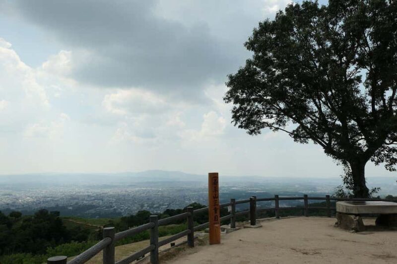 Nara: Mt. Wakakusa Family Picnic Trail with Guide - Practical Details and Considerations