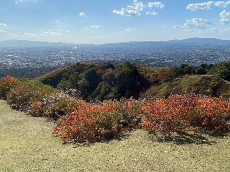 Nara: Mt. Wakakusa Family Picnic Trail with Guide - Final Thoughts: Who Should Consider This Tour?