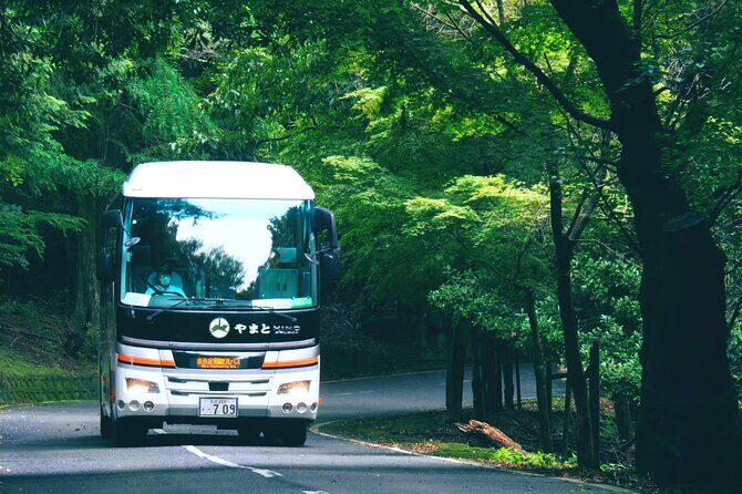 Nara Mt.Wakakusa Hilltop Bus From JR or Kintetsu Nara Station - Who Is This Tour Best For?
