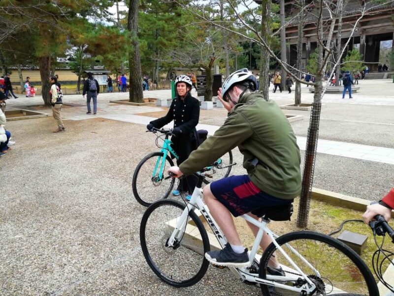 Nara: Nara Park Private Family Bike Tour with Lunch - Value for Money: Is It Worth It?