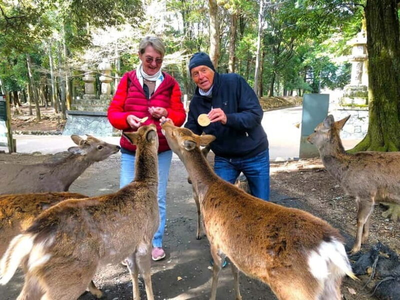 Nara: Private Custom Walking Tour with Local Guide - Key Points