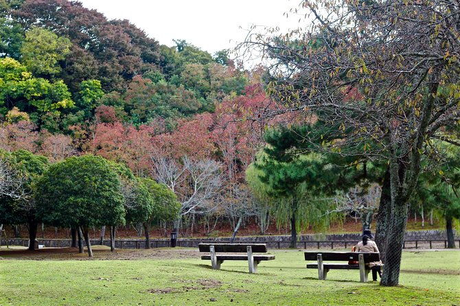 nara-private-customizable-full-day-tour