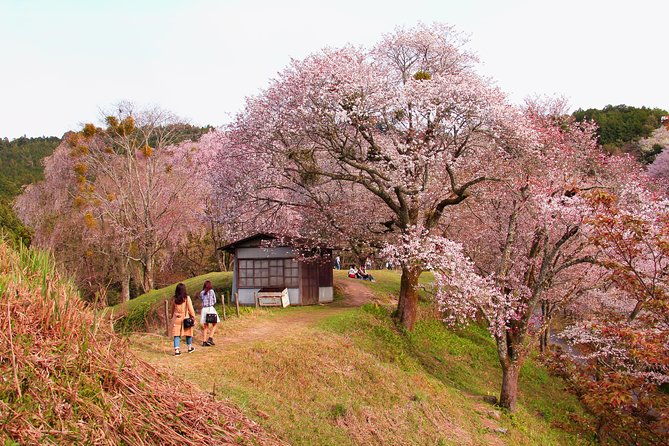 nara-private-customizable-half-day-tour